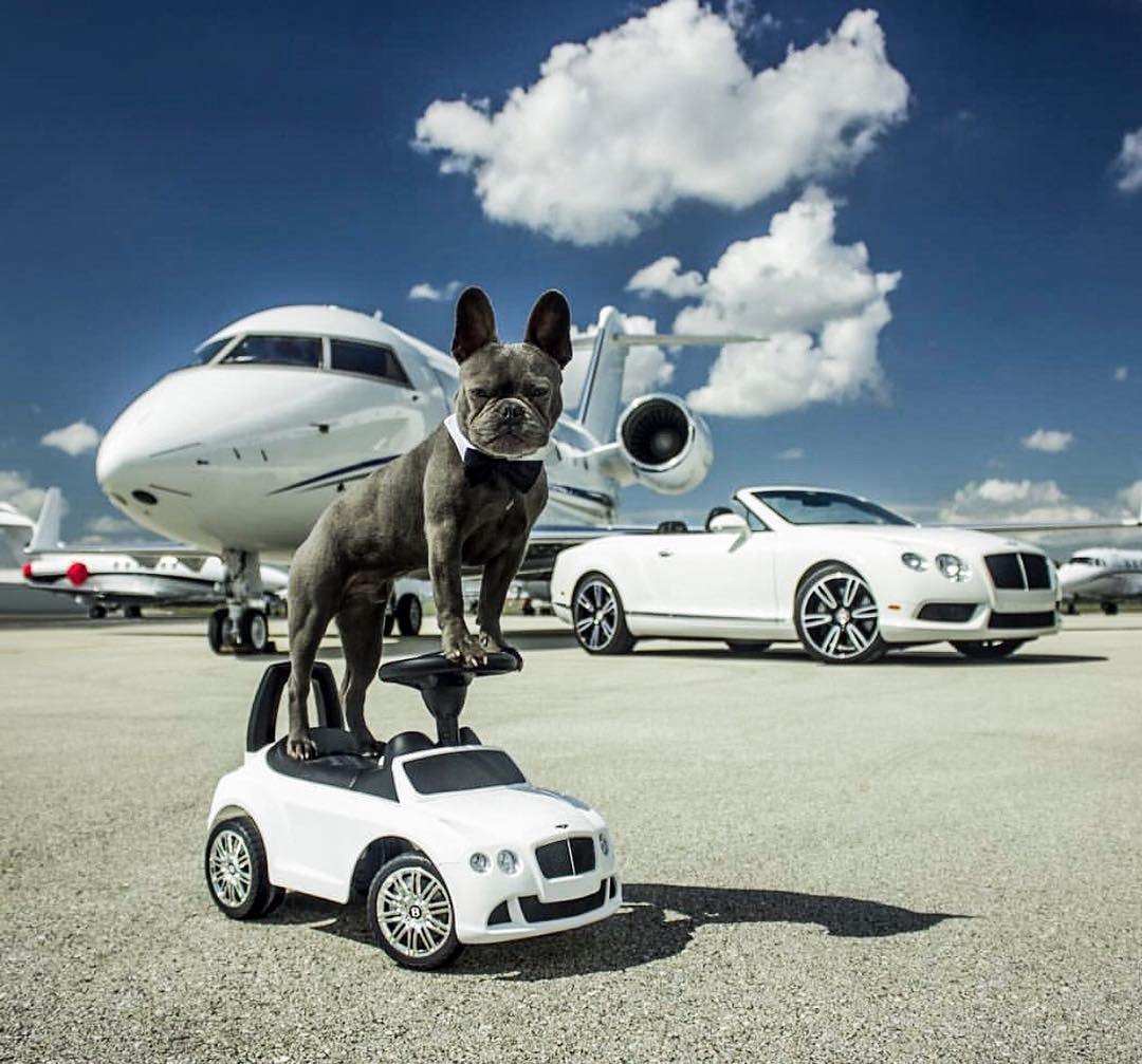 Shooting lifestyle avec jet privé et voiture de prestige